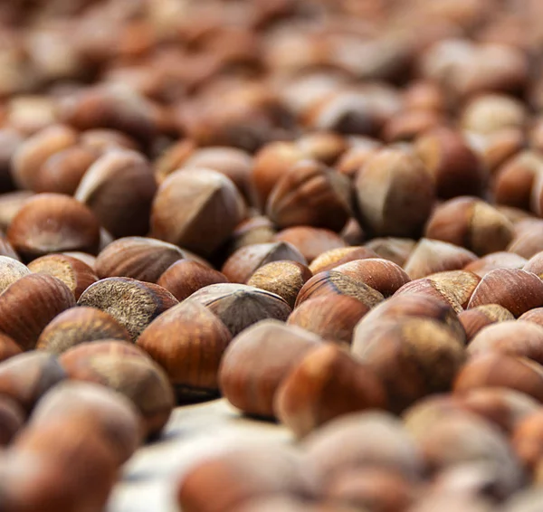 Ořechy Sušení Prolnutí Ordu Turecko — Stock fotografie