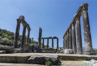 sık sık bir zeytin grove en iyi korunmuş antik biri bu arada gizler, sadece yol olarak kapatırsanız belirtilen bir tabela tarafından antik Zeus Tapınağı muhteşem manzarasını göreceksiniz farkında değilsiniz gezginler tarafından göz ardı edilir.