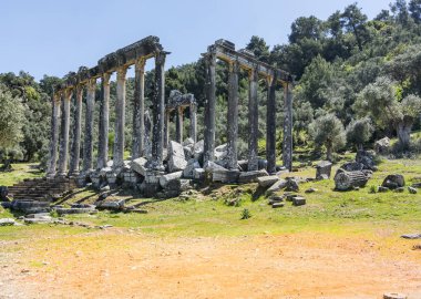 sık sık bir zeytin grove en iyi korunmuş antik biri bu arada gizler, sadece yol olarak kapatırsanız belirtilen bir tabela tarafından antik Zeus Tapınağı muhteşem manzarasını göreceksiniz farkında değilsiniz gezginler tarafından göz ardı edilir.