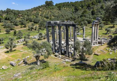 sık sık bir zeytin grove en iyi korunmuş antik biri bu arada gizler, sadece yol olarak kapatırsanız belirtilen bir tabela tarafından antik Zeus Tapınağı muhteşem manzarasını göreceksiniz farkında değilsiniz gezginler tarafından göz ardı edilir.