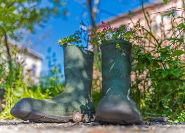 yağmur botlarına ekilmiş çiçekler