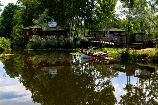 Acarlar longozu nilüfer çiçeği Karasu, Sakarya, Türkiye