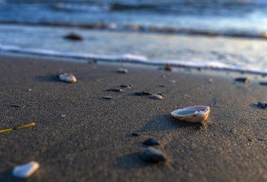 Deniz kenarındaki şişeler ve nesneler