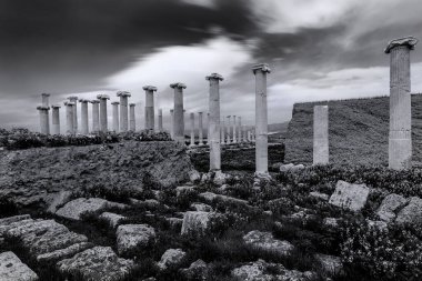 Göbeklitepe, 12 bin yıl önce anlurfa yakınlarında bulunan ve dünyanın ilk tapınağı olan bir arkeolojik kazı alanıdır..