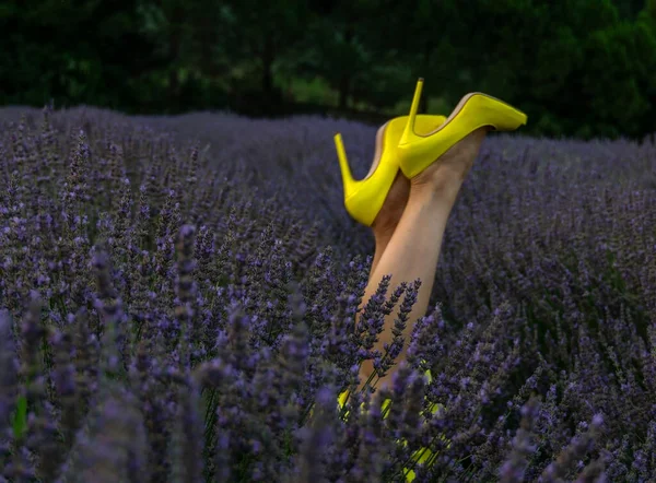 Femme Avec Des Chaussures Jaunes Soulevant Ses Pieds Dans Champ — Photo