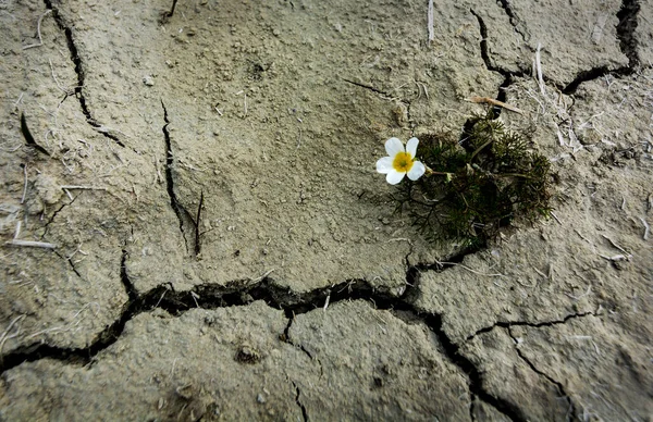 Golmarmara 'da sular hala ıslak, tekneler karada.