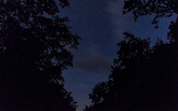 Igneada Daki Gece Yıldızlarının Manzarası Ormanları Sular Altında Bıraktı — Stok fotoğraf