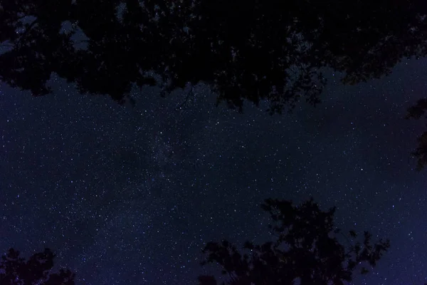 Widok Gwiazd Nocnych Zalanych Lasach Igneady — Zdjęcie stockowe