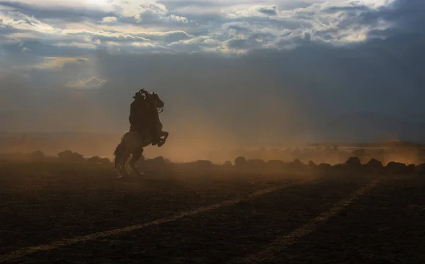 Kayseri 'de vahşi atlar