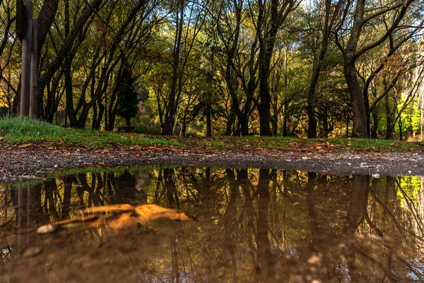 Jesień Parku Przyrody Karagol Izmirze — Zdjęcie stockowe