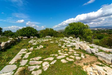 Antik Teos şehrinde ağaçlar