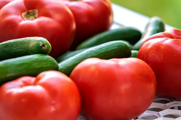 Tomato and cucumber come to our house from the field