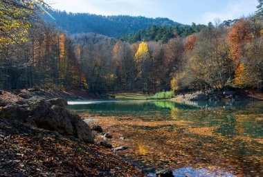 Sonbaharda Bolu 'daki yedi gölden manzara