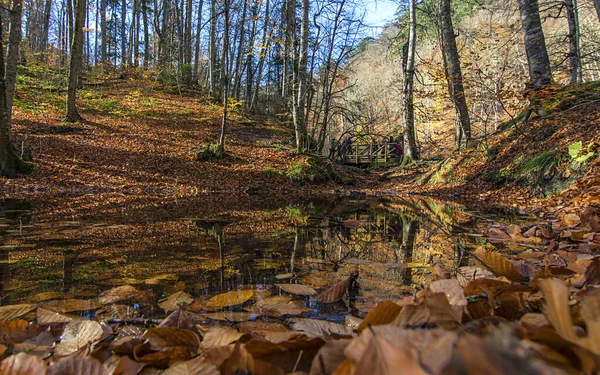 Вид Семи Озер Болу Восени — стокове фото