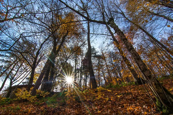 Una Vista Sette Laghi Bolu Autunno — Foto Stock