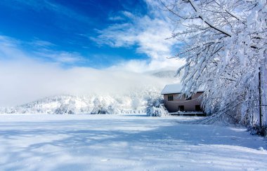 Mankafa golcusu, İzmir, kar manzarası