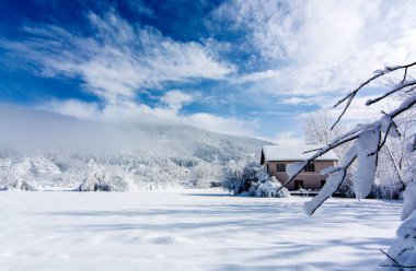 Mankafa golcusu, İzmir, kar manzarası