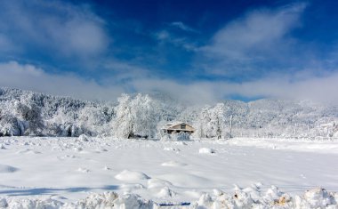 Mankafa golcusu, İzmir, kar manzarası