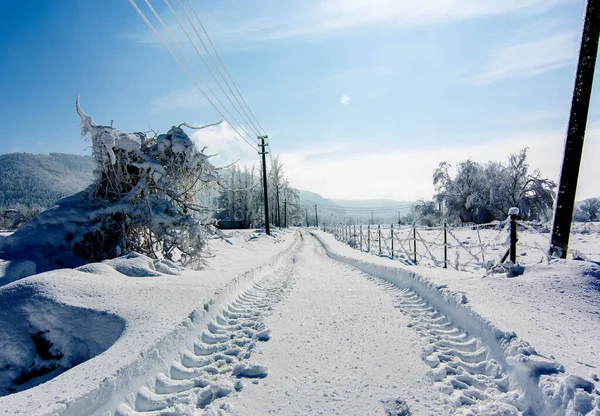 Mankafa golcusu, İzmir, kar manzarası