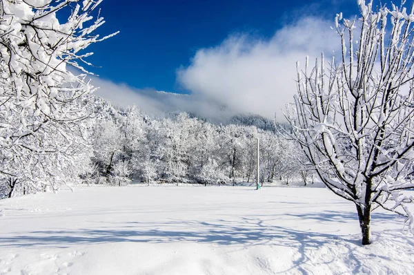 Bozdag Golcuk Izmir Snow Landscape — Stock Photo, Image