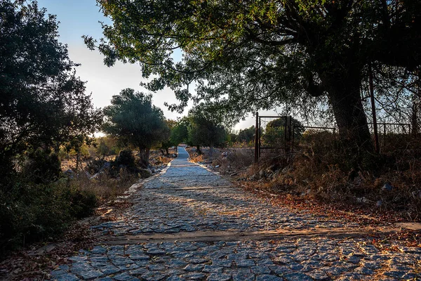 Teos antik kenti seferihisar İzmir Türkiye