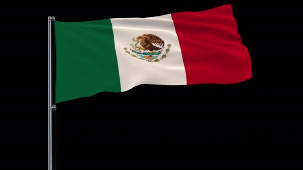 Изолировать Флаг Мексики Флагштоке Развевающемся Ветру Прозрачном Фоне Рендеринг Прорезов — стоковое видео