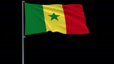 Senegal bayrak rüzgar şeffaf bir arka plan, 3d render, 4 k prores 4444 görüntüleri ile alfa şeffaflık çırpınan bir bayrak direği üzerinde izole