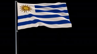 Saydam bir arka plan, 3d render, 4 k prores 4444 görüntüleri rüzgarda alfa şeffaflık ile çırpınan bir bayrak direğine Uruguay bayrağı izole