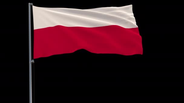 Isolate Flag Poland Flagpole Fluttering Wind Transparent Background Rendering Prores — Stock Video