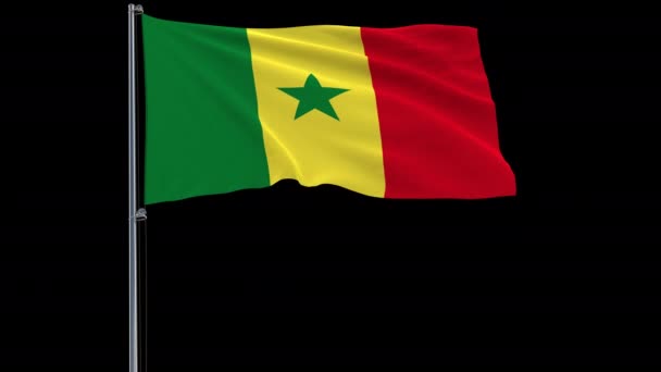 Isolate Flag Senegal Flagpole Fluttering Wind Transparent Background Rendering Prores — Stock Video