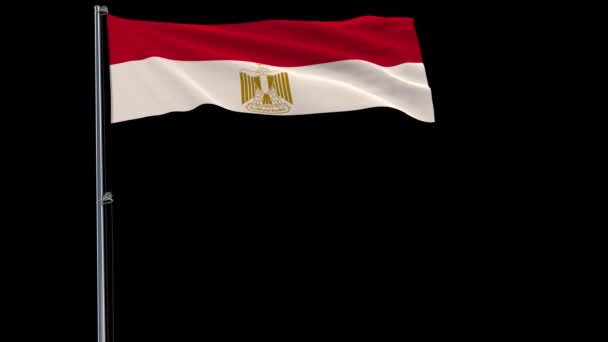 Aislar Bandera Egipto Asta Bandera Ondeando Viento Sobre Fondo Transparente — Vídeo de stock