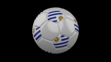 Uruguay bayrak renkleri futbol topuyla döner şeffaf arka plan, 3d render, prores 4444 alfa kanalı ile döngü