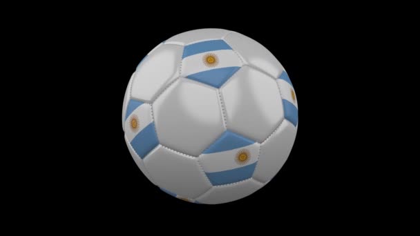 Футбольный Мяч Цветами Флага Аргентины Вращается Прозрачном Фоне Рендеринг Прорезы — стоковое видео