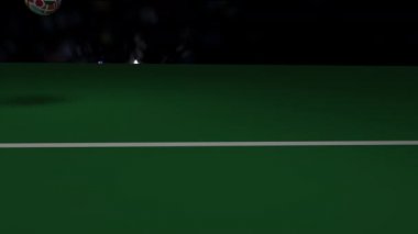 Futbol topu futbol Dünya Kupası ülkelerin bayrakları taşıyan atlar ve rulo geçiş futbol gol çizgisini, 3d render, 4 k prores görüntüleri.