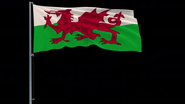 Grote vlag van Wales, 4 k prores 4444 beeldmateriaal met alpha transparantie — Stockvideo
