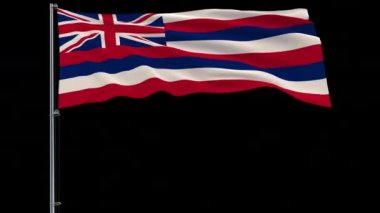 Amerika Birleşik Devletleri Hawaii 4 k prores 4444 görüntüleri alpha ile bayrak izole