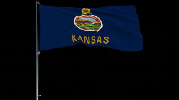 Iisolate Flag United States Kansas Flagpole Flttering Wind Rendering Prores — Vídeo de stock