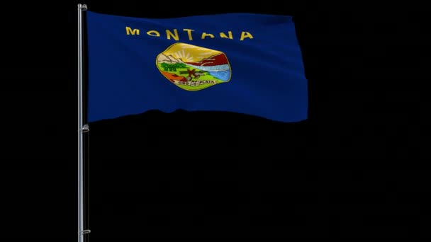 Iisolate Vlag Van Montana Van Verenigde Staten Vlaggenmast Wapperen Wind — Stockvideo
