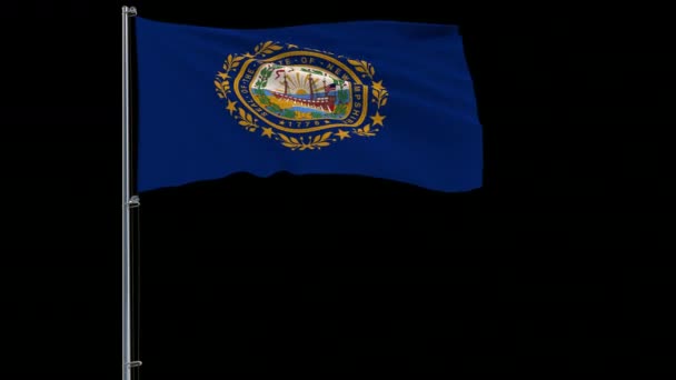 Флаг США Нью-Гэмпшир, 4k прорес 4444 кадры с альфа — стоковое видео