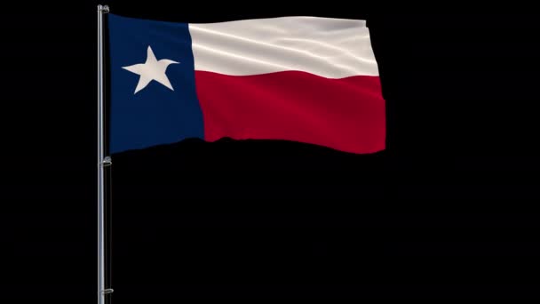 Bandera de United States Texas, 4k prores 4444 metraje con alpha — Vídeos de Stock