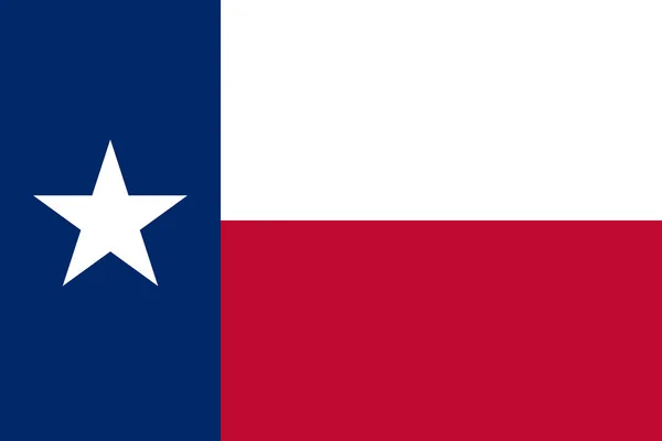 Прапор Нас Штату Техас Докладні Вектор — стоковий вектор
