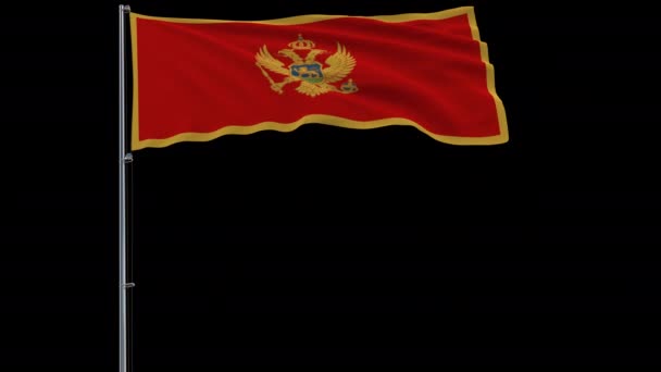 Isolera för Montenegro, 4 k prores 4444 film med alfagenomskinlighet flagg — Stockvideo