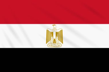 Mısır gerçekçi vektör rüzgarda sallanan bayrak.