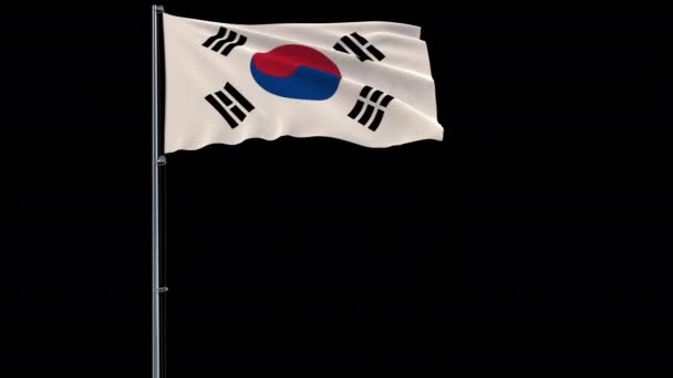 Flagge Südkoreas, 4k prores 4444 Filmmaterial mit Alpha-Transparenz — Stockvideo