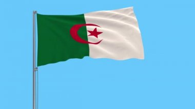 Büyük bez izole bir şeffaf arka plan, 3d render, 4 k prores görüntüleri, alfa şeffaflık rüzgarla içinde çırpınan bir bayrak direğine Cezayir bayrağı