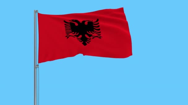Изолировать Флаг Албании Флагштоке Развевающемся Ветру Прозрачном Фоне Рендеринг Проров — стоковое видео