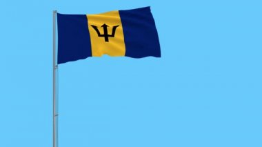 Barbados bayrağı bir şeffaf arka plan, 3d render, 4 k prores görüntüleri, alfa şeffaflık rüzgarla içinde çırpınan bir bayrak direği üzerinde izole