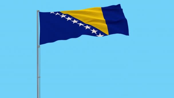 在透明背景下随风飘动的旗杆上隔离波斯尼亚和黑塞哥维那的旗帜 恶作剧镜头 阿尔法透明度 — 图库视频影像