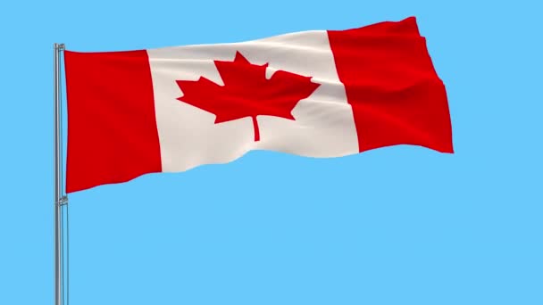 在透明背景下在风中飘扬的旗杆上隔离加拿大国旗 恶作剧镜头 阿尔法透明度 — 图库视频影像