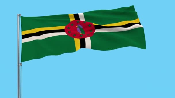 Gran Tela Aísle Bandera Mancomunidad Dominica Asta Bandera Ondeando Viento — Vídeos de Stock